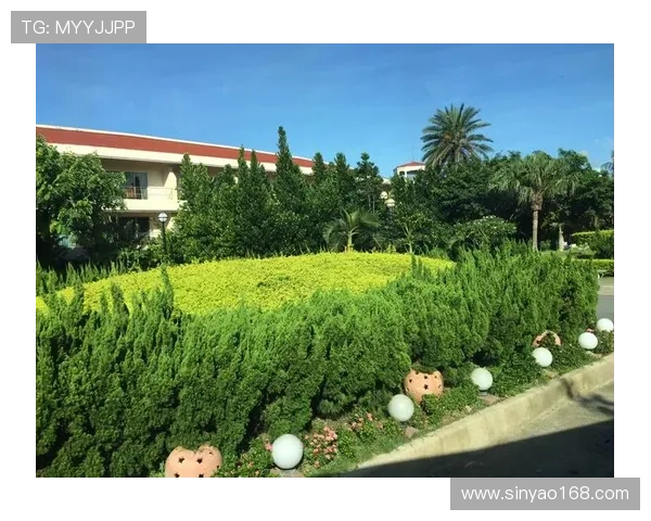 以湘为名共赴盛会2029湖南全运精彩相约美好未来时光新篇章启航